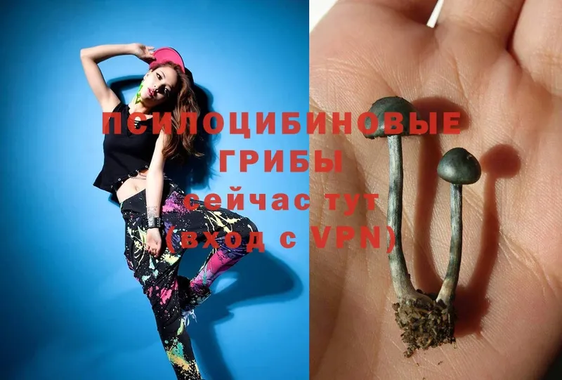 маркетплейс наркотические препараты  Туринск  Галлюциногенные грибы MAGIC MUSHROOMS  сколько стоит 